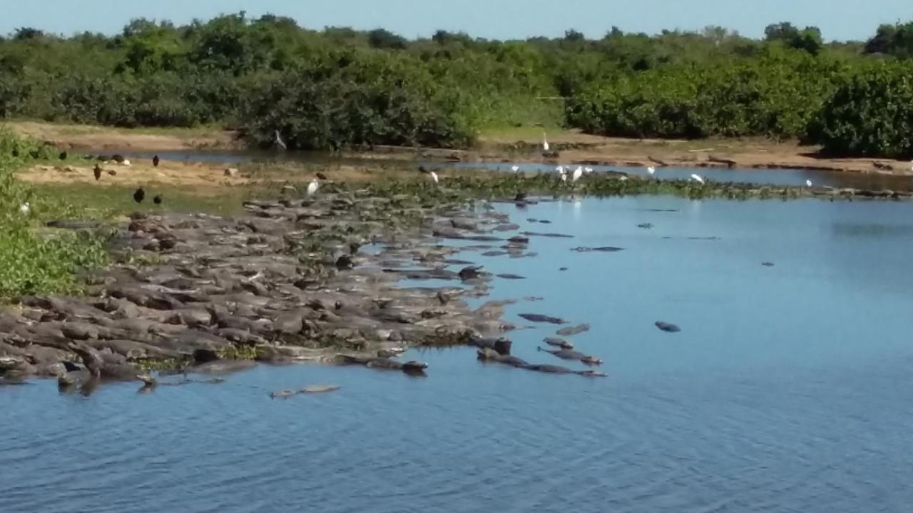 Hotel Pousada And Safari Cuiaba  Ngoại thất bức ảnh