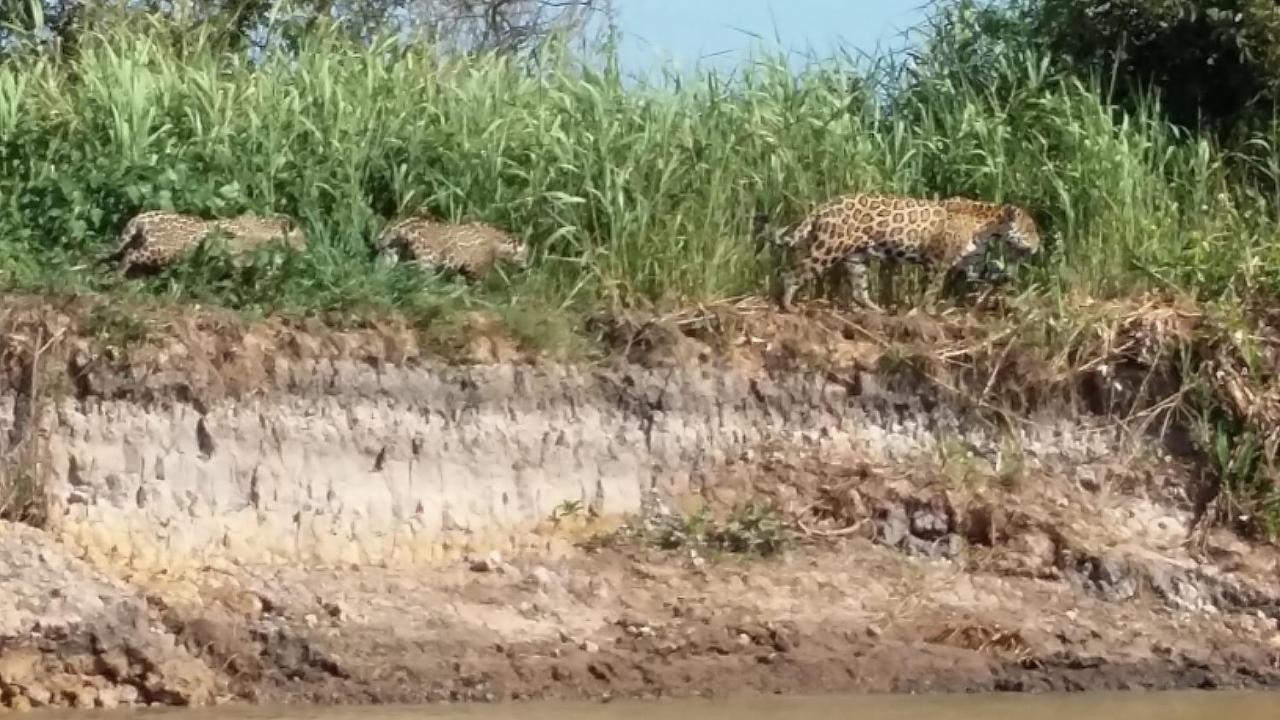 Hotel Pousada And Safari Cuiaba  Ngoại thất bức ảnh